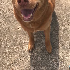 Meet your Posher, Kathie